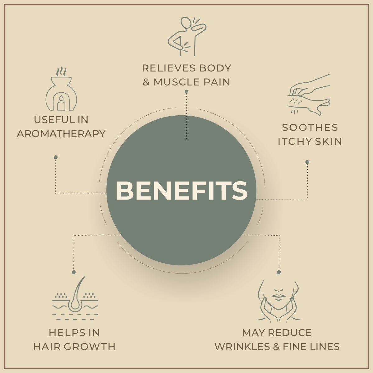 Salvia Natural Essential Oils Pine Essential Oil Salvia Natural Essential Oils Pine Essential Oil